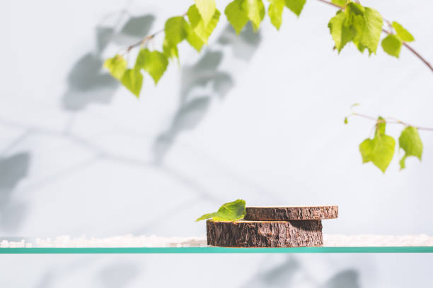 Wooden podium with green branches on a glass shelf on a blue background with shadows. Concept scene stage showcase for new product, promotion sale, banner, presentation, cosmetic. Soft focus style