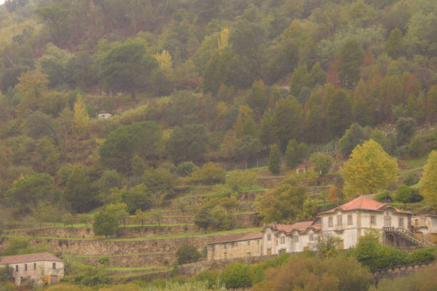 istock Douro Valley in Portugal 1438636613
