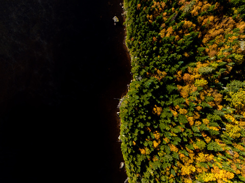 Aerial View of Lake and Forest in Autumn, Quebec, Canada