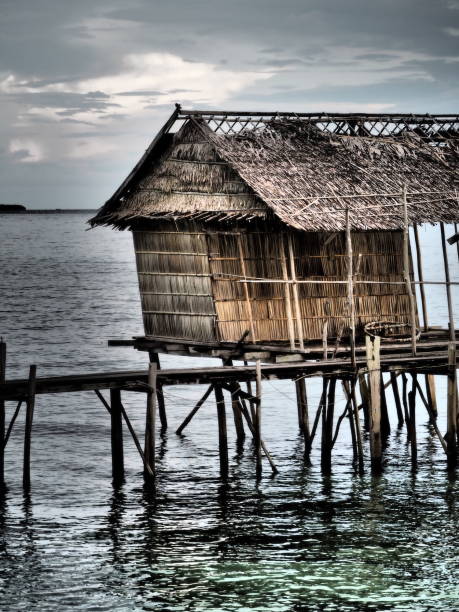 istock stilt house upon the sea 1438639840