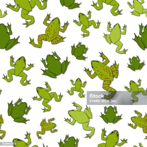 Frog Vector Patterns Seamless Pattern With Green River Frogs Color Vector Background With ...