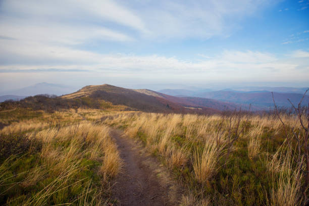 Mountain landscape in Bieszczady, Poland