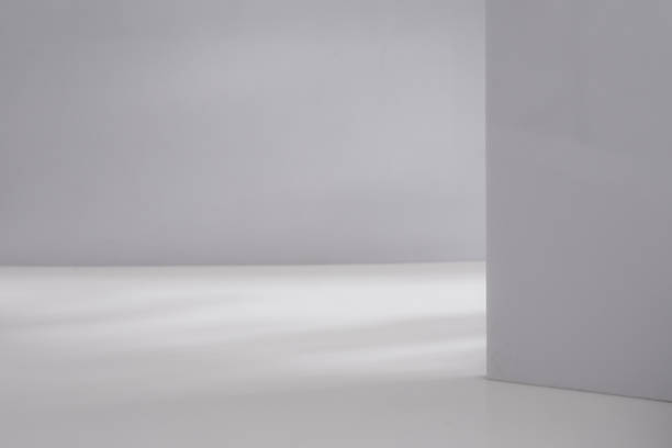 istock Abstract background for products overlay mock up,natural sunshade shadow 1438647371