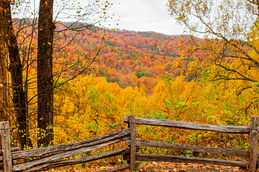 Colorful Fall Colors in Tennessee in October  2022.