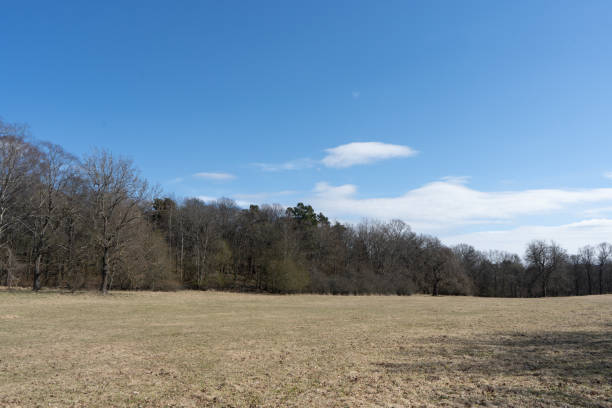 istock Meadow in Stockholm 1438651437