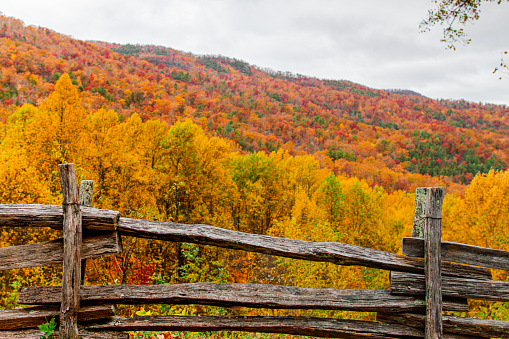 Smoky hills in the Fall from an overlook along Fighting Creek Gap Road in the Great Smoky Mountains National Park, Tennessee.