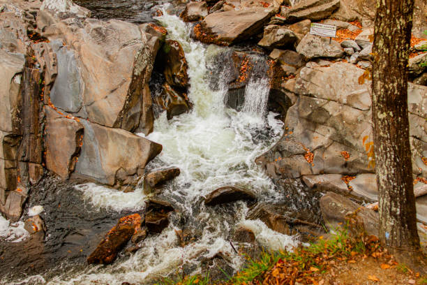 Colorful Fall Colors in Tennessee in October  2022.