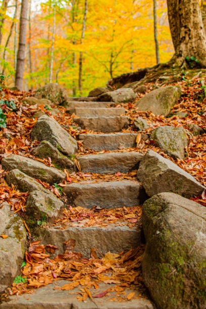 2022年秋のテネシー州の色とりどりの紅葉、木々、山々のある岩だらけの階段 - great smoky mountains great smoky mountains national park leaf autumn ストックフォトと画像