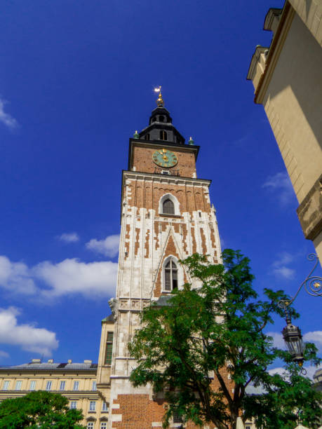 istock Town Hall Tower, Krakow, Poland 1438655429