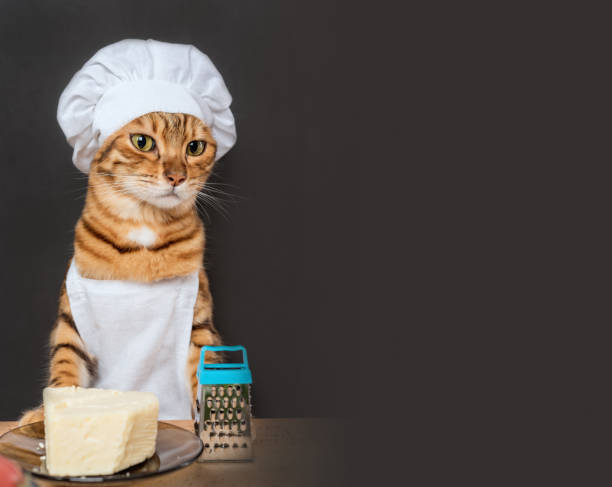 istock Bengal cat cook with a grater and cheese 1438656347