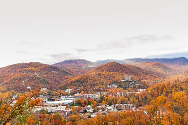 coloridos árboles de otoño y vistas a las montañas en tennessee durante el otoño de 2022 - great smoky mountains great smoky mountains national park leaf autumn fotografías e imágenes de stock