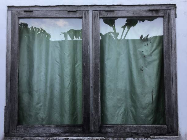 Window
