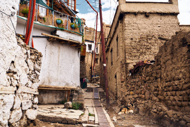 istock Street in Leh, Ladakh, India 1438657966