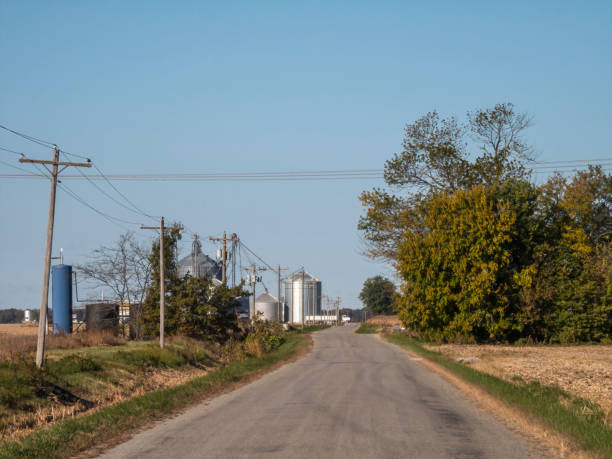 istock Country road that passes by a granary in Illinois 1438658385