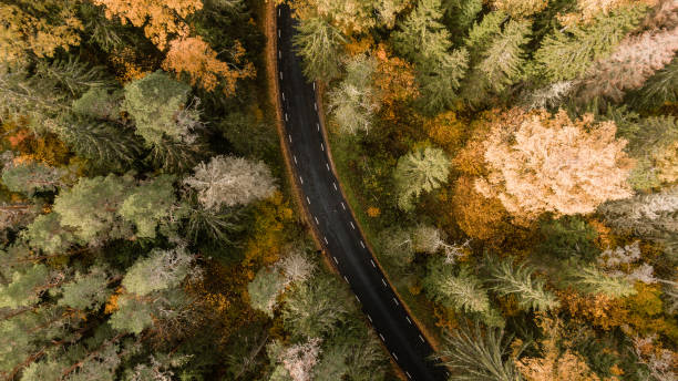 istock Autumn road in Northern Estonia 1438659346