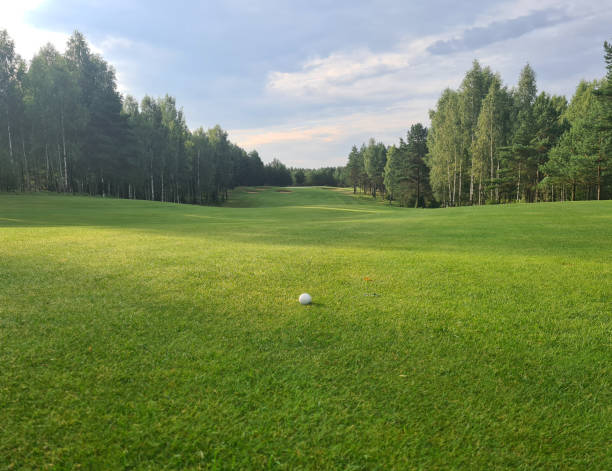 istock Golf balls on the green grass on golf course 1438660283