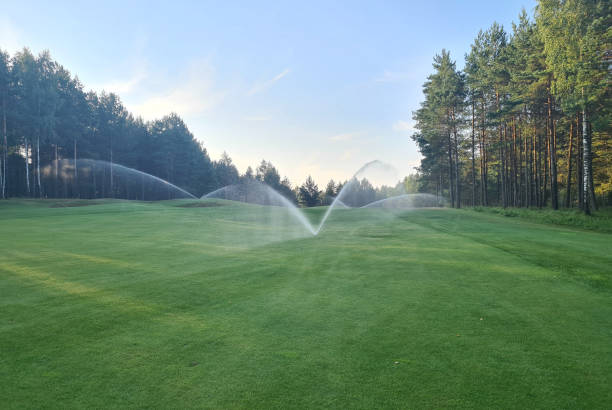 istock Sprinklers watering system working of green golf course. 1438660290