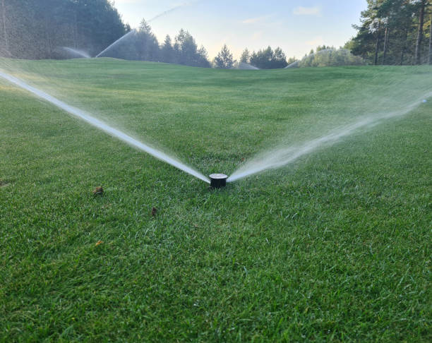 istock Irrigation system golf course. Water sprinkler irrigation of green grass field 1438660317