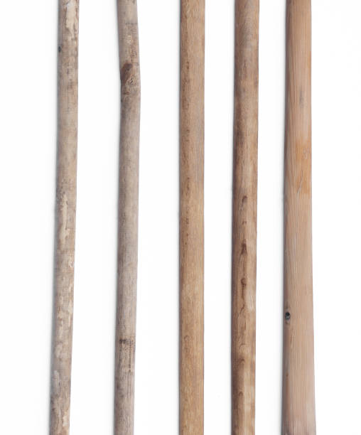 istock wooden long stick set isolated on white background 1438660541