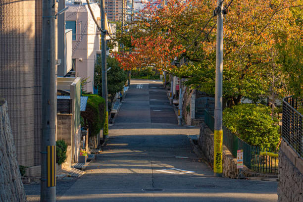 istock Road in the town 1438660969