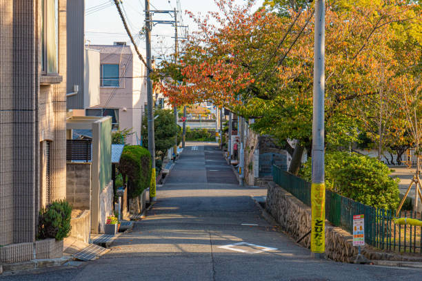 istock Road in the town 1438661009