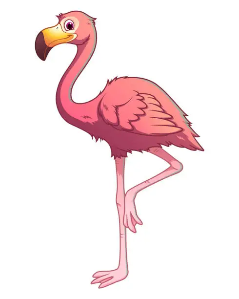 Vector illustration of Flamingo Cartoon Animal Illustration