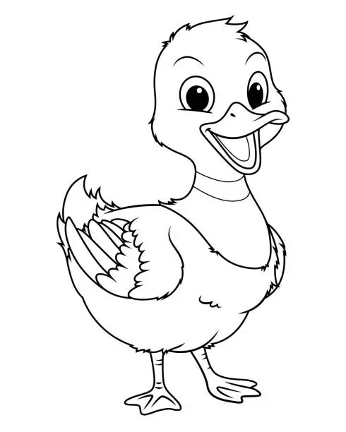 Vector illustration of Little Mallard Duck Cartoon Animal Illustration BW