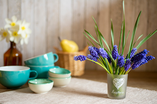 Grape hyacinth bouquet with spring deocration on table