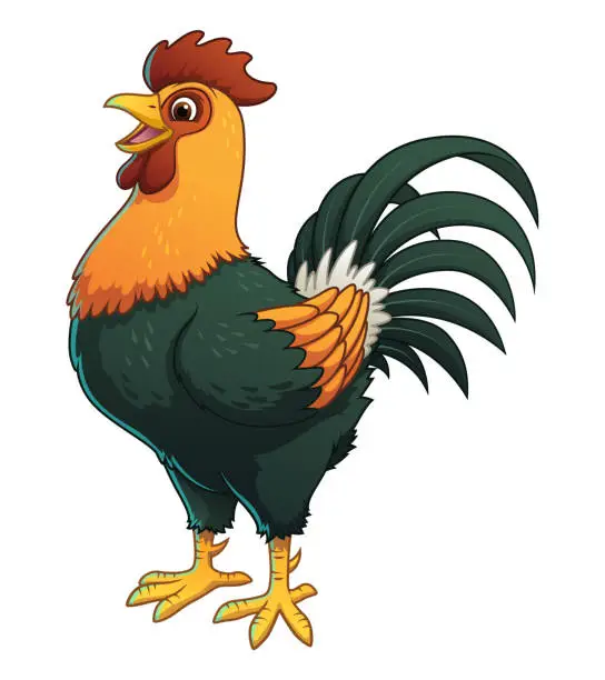 Vector illustration of Rooster Cartoon Animal Illustration