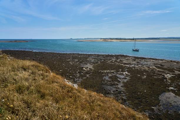 istock View of St Cuthbert's Island from Holy Island 1438666437