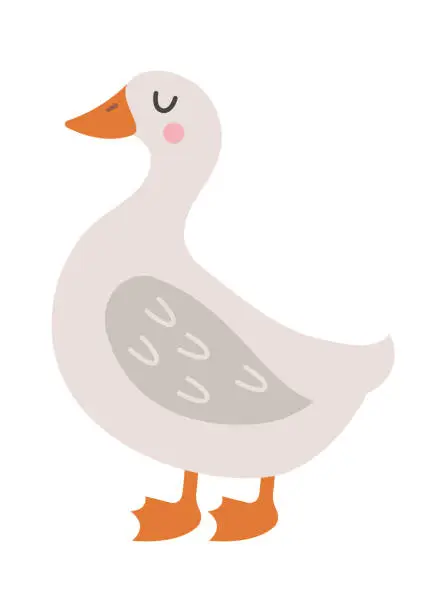 Vector illustration of Cartoon goose farm bird. Vector illustration