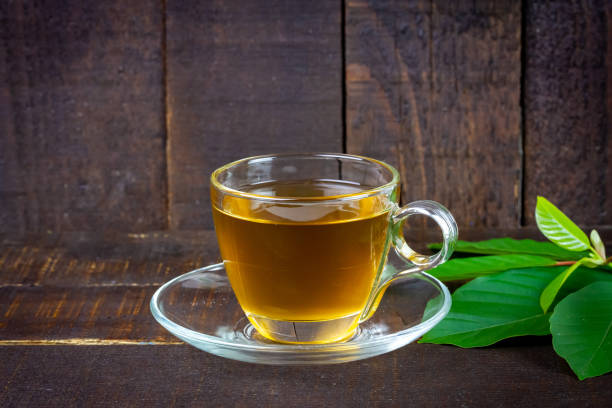istock Mitragyna Speciosa Korth or kratom tea. 1438674696