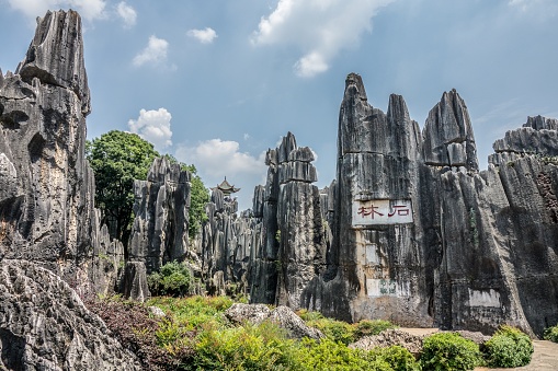 A high angle shot of the Naigu Stone Forest Scenic Area in the National park in Kunming, China