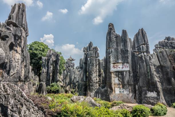 High angle shot of the Naigu Stone Forest Scenic Area in the National park in Kunming, China A high angle shot of the Naigu Stone Forest Scenic Area in the National park in Kunming, China yunnan province stock pictures, royalty-free photos & images