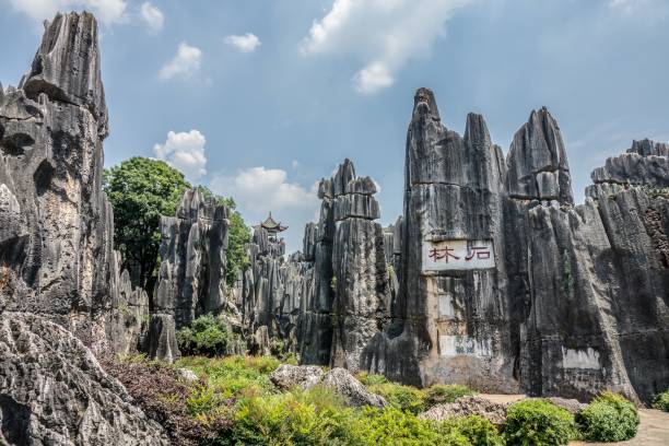 tiro de ângulo alto da área cênica da floresta de pedra de naigu no parque nacional em kunming, china - the stone forest - fotografias e filmes do acervo