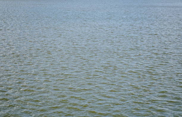istock Water run through river in rainy season 1438676810