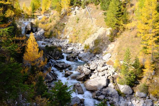 istock Rocky river surrounded by colorful fall trees in Valais, Switzerland 1438680365