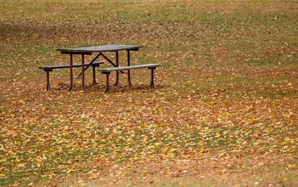 istock Horizontal image of a picnic table in a park on an autumn Day 1438680668