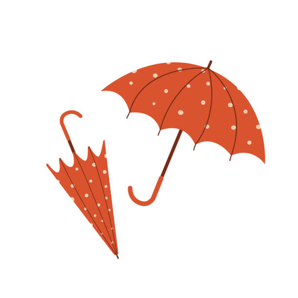 Open and folded umbrella icon. Vector illustration cartoon flat style. vector art illustration