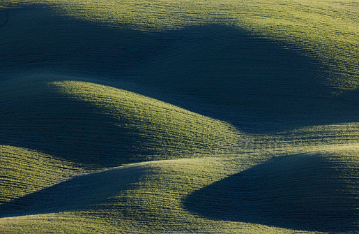 toscana fields and textures at sunset in San Gimignano, Tuscany, Italy