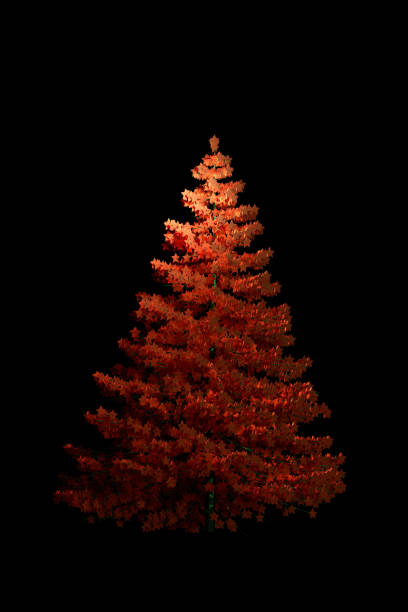 Abstract Christmas tree stock photo