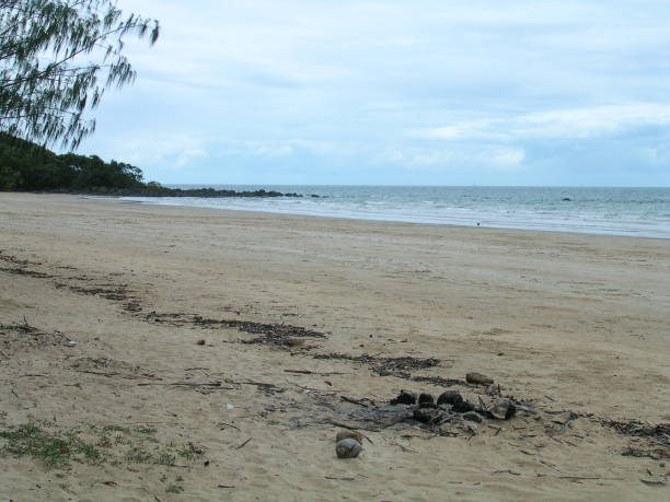 istock Beaches and sea in Queensland. Australia 1438693302