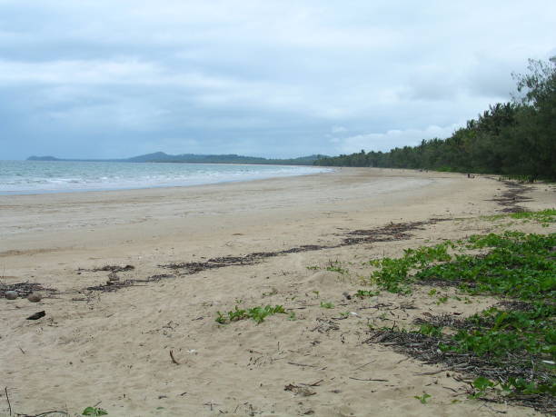 istock Beaches and sea in Queensland. Australia 1438693312