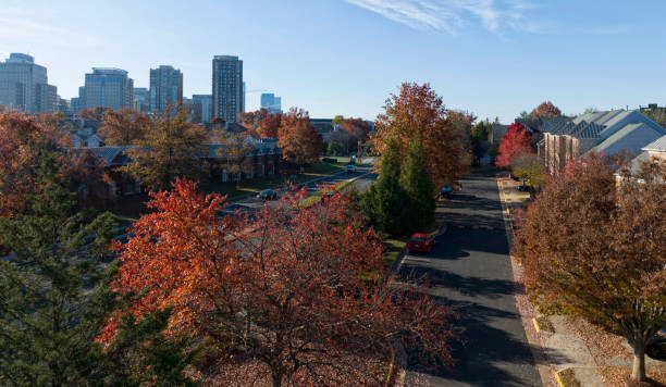 Living in Downtown Reston, Virginia