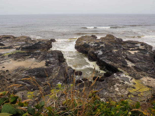 istock beach and rocks on an overcast day 1438693791