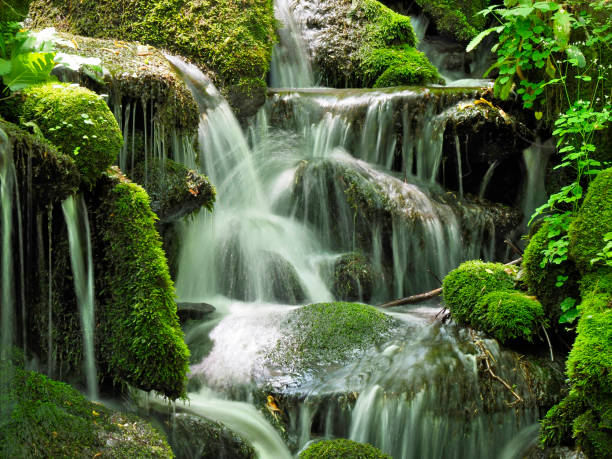 nahaufnahme eines wasserfalls, der über moosbedeckte felsbrocken im great smokey mountains national park fällt - waterfall stream river tennessee stock-fotos und bilder