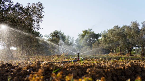 istock Closeup low angle view of automatic lawn sprinkler watering in the garden using as agricultural and fresh cover page concept 1438703810