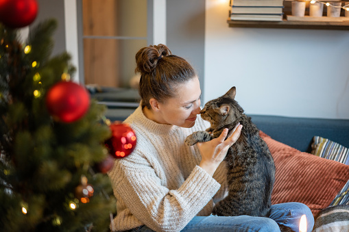 Young happy woman celebrating Christmas sitting on the sofa next to the Christmas tree with a gray pet tabby cat in her arms