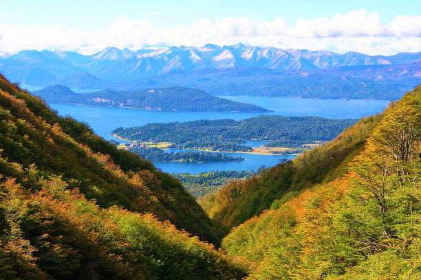 góry w pobliżu bariloche jesienią, argentyna - tree patagonia autumn green zdjęcia i obrazy z banku zdjęć