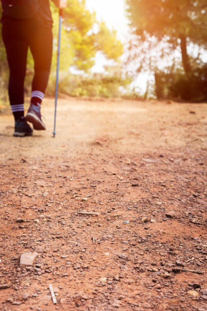 istock Hiker's legs on the path in the mountains 1438712082